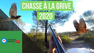 Chasse à la GRIVE 2021 [upl. by Elyak]