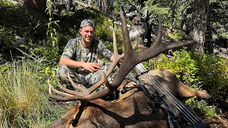 Before The Wolf Colorado Archery Elk Hunt  Stuck N The Rut 194 [upl. by Anilehs]