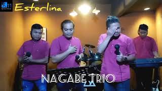 Esterlina  Cover  Nagabe Trio  Ronni Pangaribuan [upl. by Nomelc]