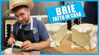 BRIE FATTO in CASA  Tutti i passaggi della lavorazione del formaggio a crosta fiorita più famoso [upl. by Etteniuqna]