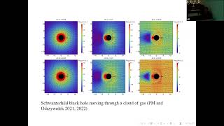 Patryk Mach A Monte Carlo method for stationary solutions of generalrelativistic Vlasov systems [upl. by Aicil818]