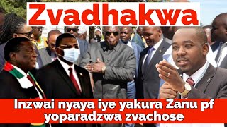 WATCH LIVE 🇿🇼 Nyaya iye yazokura Zanu pf yoparadzwa zvachose 🎥 [upl. by Nnayllehs]