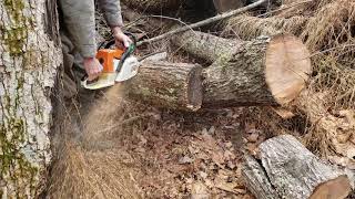 Stihl 026 Chainsaw 18 inch bar [upl. by Kilar397]