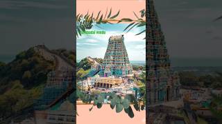 ✨💥Aarupadai veedu konda Thirumuruga🙏🌟 devotional murugansong [upl. by Nirtiac]