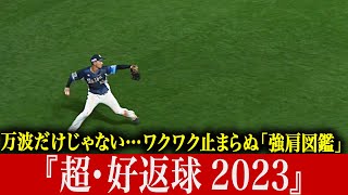 【万波だけじゃ】ワクワク止まらぬ“強肩図鑑” 『超・好返球 2023』【ないんです】 [upl. by Neirol]