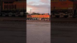 BNSF Aberdeen Switch Yard Lineup bnsftrains railway shortsfeed Subscribe to see more [upl. by Sprague]