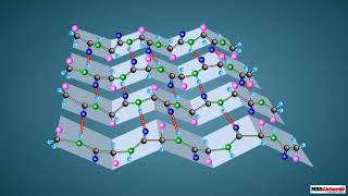 Proteins and their Structure [upl. by Harl]