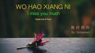 Wo Hao Xiang Ni lyric I Miss You Much  Pinyin amp English  Learn Chinese by songs [upl. by Debora]