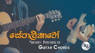 Sepalikawo සේපාලිකාවෝ  Sheshan Kaushalya  Guitar Chords By KD Musics [upl. by Alrich987]