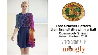 How to Crochet Lion Brands Openwork Shawl [upl. by Eatnoed]