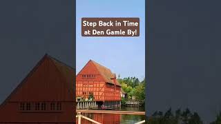 Exploring Den Gamle By in Aarhus A Journey Through Denmarks Living History 🇩🇰 [upl. by Semadar]