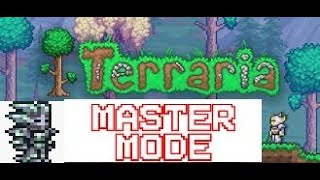 Titanium goes brrrrTerraria let s play part 47 [upl. by Aicilra]