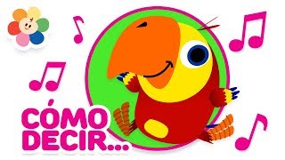 Nuevas Palabras 2  Palabras Para Niños  Videos Educativos de Vocabulario  Vocabularry  BabyFirst [upl. by Duaner355]