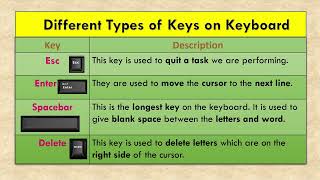 Lec  07 Keyboard Keys  Keyboard Keys and Uses  computerfundamental youtubevideo [upl. by Misa]