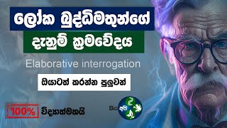 දැනුම වඩවන සුපිරිම ක්‍රමවේදය  🧠 Elaborative Interrogation in Sinhala by Bio Api  Study Techniques [upl. by Yorel827]