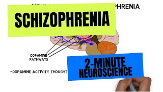 2Minute Neuroscience Schizophrenia [upl. by Ahsikad392]