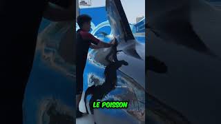 Cette baleine géante émerge au parc aquatique [upl. by Lareena]