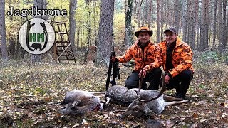 Drückjagd im Jagdkrone Revier  Jetzt auf HUNT ON DEMAND [upl. by Eelarat159]