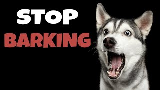 High Pitched Dog Whistle Sound To Stop Dogs Barking [upl. by Nosretep443]