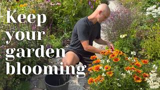 Deadheading for Beginners Keep Your Garden Blooming All Season  Perennial Garden [upl. by Jac]