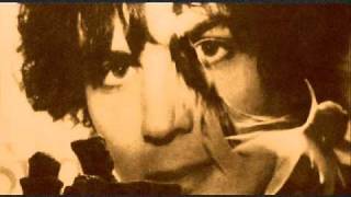 ♪♫ Syd Barrett  Effervescing Elephant [upl. by Ikiv]