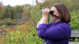 How to get crystal clear focus with your binoculars [upl. by Clarance]