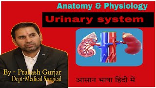 Nephrology amp urology difference between nephrology or urology [upl. by Dressler]