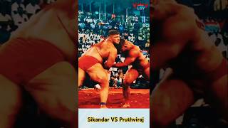 लढाई वाघ 🆚 सिंहा ची  sikandar shaikh vs prithviraj mohol shorts kushti कुस्ती [upl. by Penelopa]