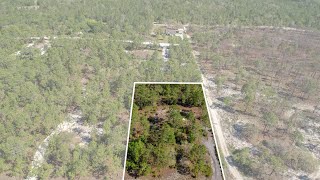 11376 Raschke Run Brooksville FL [upl. by Klinges]