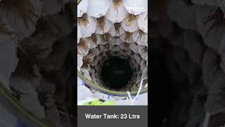 Aeroponic Growing Towers Hydroponics Vertical Garden Systems [upl. by Atikram258]