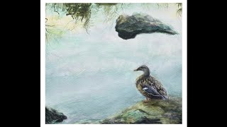 Painting an impressionistic watercolor portrait of a solitary duck in Central Park [upl. by Jordon]