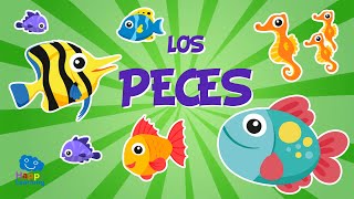 Los Peces 🐟🐠🐡  Vídeos Educativos para Niños [upl. by Neve]