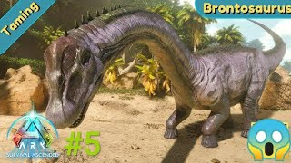 Tamed Bronto  Bronto is very big dinosaur  ARK survival evolved  5 [upl. by Tsan]