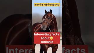 Interesting facts about animals 😳 जानवरों के बारे में मजेदार बाते like animalfacts animals [upl. by Yllier]