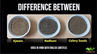 Difference between Ajwain Radhuni and Celery Seeds  अजवाइन रधुनि और सेलरी सीड्स  38 [upl. by Eatnoj]