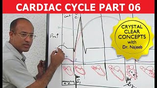 Cardiac Cycle  Systole amp Diastole  Dr Najeeb Part 68 [upl. by Elder]