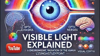 quotHow Our Eyes Perceive Light The Science of Vision Explainedquot  science lssinghstudypoint [upl. by Gore]