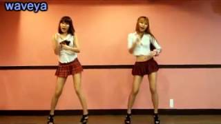 Waveya T ara roly poly k pop dance tutorial [upl. by Thornie]