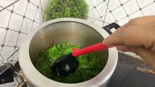 Kashmiri haak saag recipe jammu and Kashmir [upl. by Elyrrad]