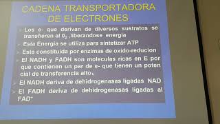 Cadena transportadora de electrones y fosforilación [upl. by Buddy]