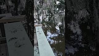 Hurricane Flood Homosassa Florida [upl. by Carley919]