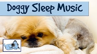 Music for Dogs to go to Sleep Dog Anxiety Treatment [upl. by Anaili]