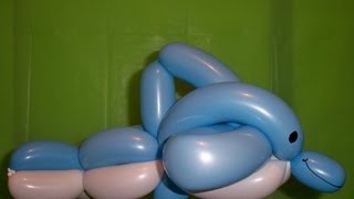 HOW TO MAKE AN AMAZING DOLPHIN BALLOON  Balloon Animal [upl. by Atauqal]