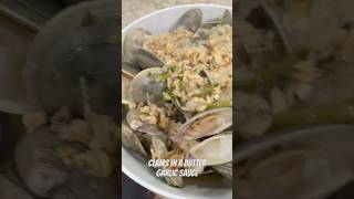 Clams in a butter garlic sauce [upl. by Aitsirt]