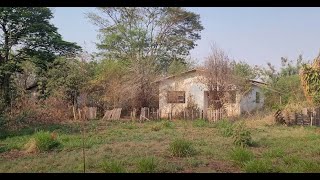 COLONIA COM VARIAS CASAS ABANDONADAS LOCAL DIFERENCIADO [upl. by Enialahs832]