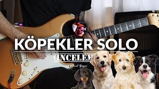 Duman  Köpekler Solo Yavaş Çalımlı [upl. by Esmerolda480]