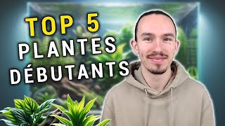 Les 5 MEILLEURES PLANTES DAQUARIUM pour DÉBUTANTS [upl. by Acissehc]