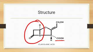 Clavulanic acid structure moa uses [upl. by Eloken]