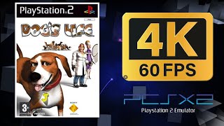 Dogs Life  PS2 PCSX2  4K UHD [upl. by Nihi]