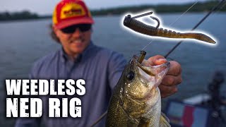 Ned Rigging Largemouth Tips Weedless Nedster [upl. by Haret]